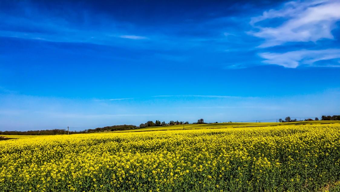 Letwell village horizon