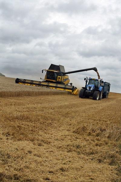 Combibe harvester